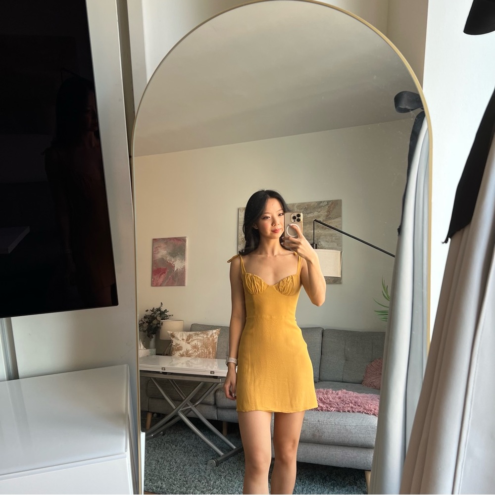 Aritzia dress